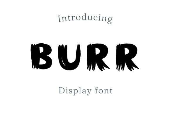 Burr Display Font for Bold Handmade Branding